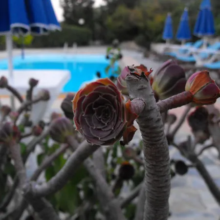 Flisvos Zakynthos